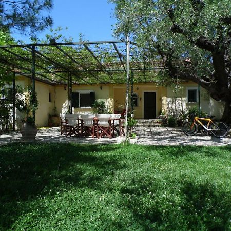 Theni Olive Grove Villa Kato Yerakarion Экстерьер фото