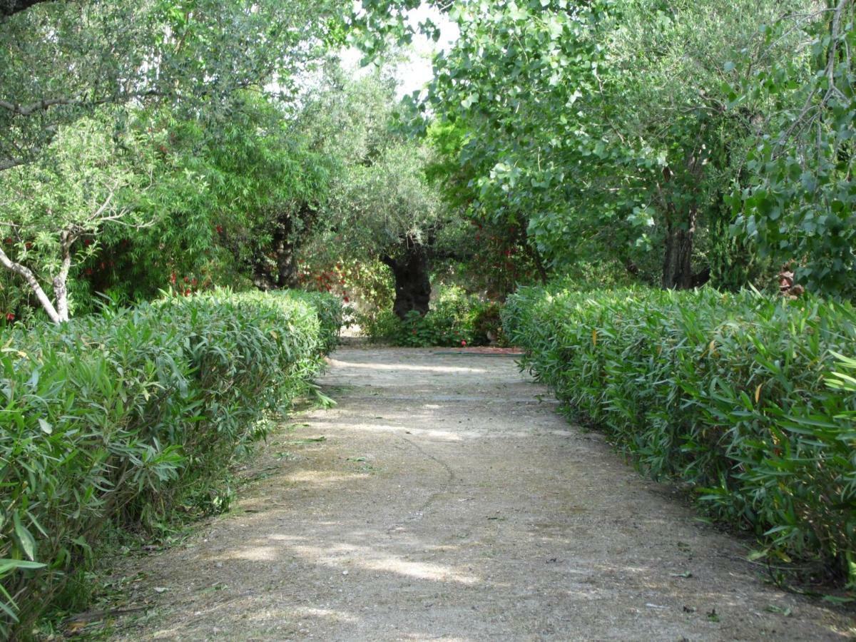 Theni Olive Grove Villa Kato Yerakarion Экстерьер фото