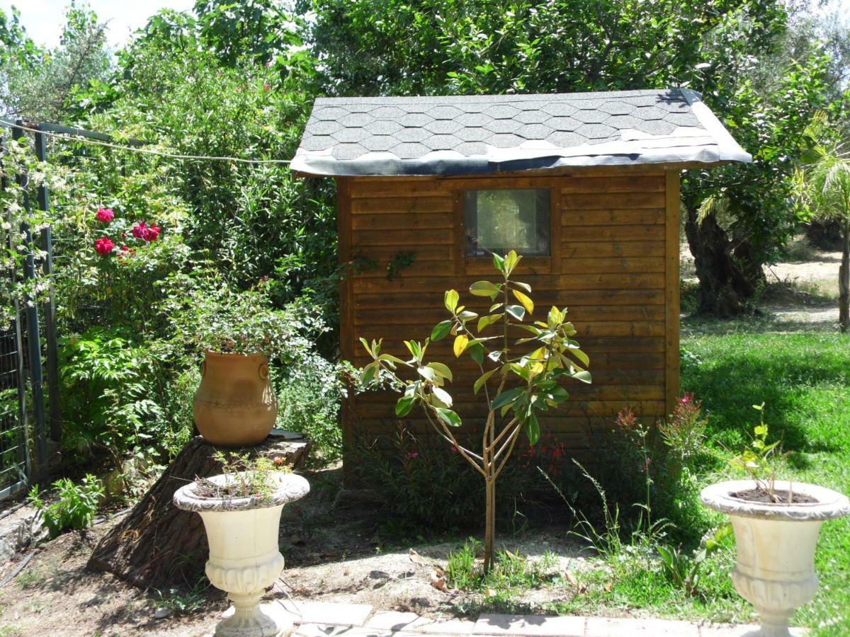 Theni Olive Grove Villa Kato Yerakarion Экстерьер фото