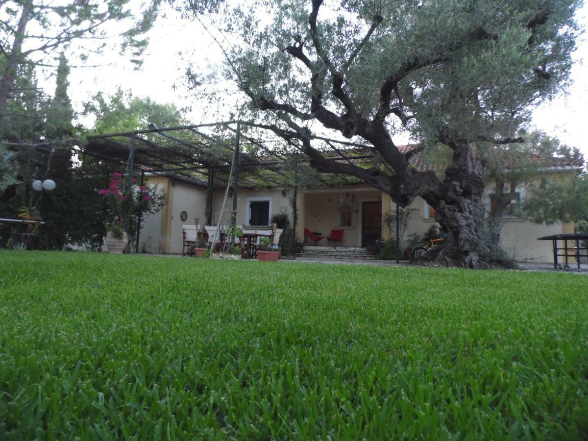 Theni Olive Grove Villa Kato Yerakarion Экстерьер фото